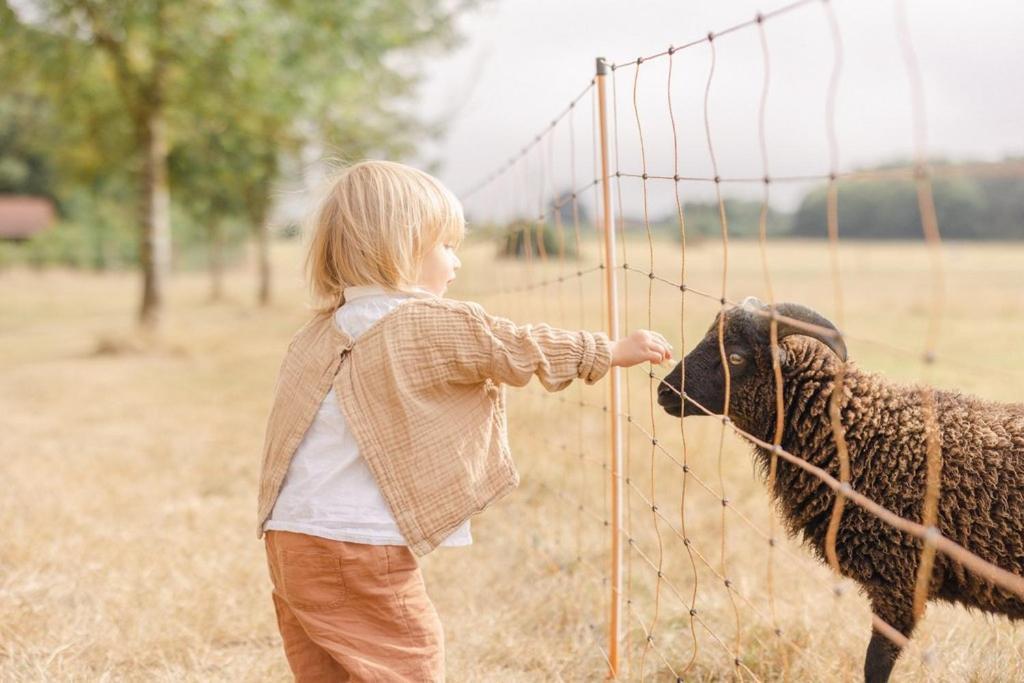 Отель Domaine De L'Oiseliere Chauche Экстерьер фото